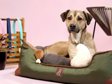 Cargar imagen en el visor de la galería, Cama para perro verde