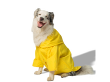 Cargar imagen en el visor de la galería, Impermeable doble faz Pollito para perros - Selvaggiopets