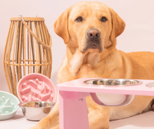 Cargar imagen en el visor de la galería, Comedero para perro elevado flamingo