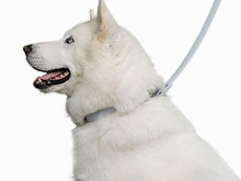 Cargar imagen en el visor de la galería, Correa Mar para perros - Selvaggiopets