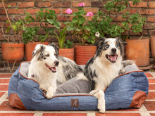 Cargar imagen en el visor de la galería, Cama Para Perro Azul