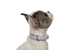 Cargar imagen en el visor de la galería, Collar Mar para perros - Selvaggiopets