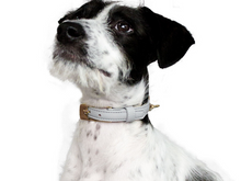 Cargar imagen en el visor de la galería, Collar Piedra para perros - Selvaggiopets