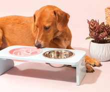 Cargar imagen en el visor de la galería, comedero elevado para perro mar