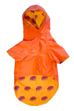 Cargar imagen en el visor de la galería, Impermeable doble faz Donas para perros - Selvaggiopets