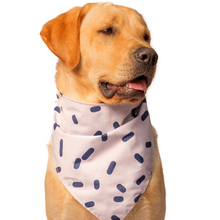 Cargar imagen en el visor de la galería, Bandana Piedra para perros - Selvaggiopets