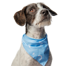 Cargar imagen en el visor de la galería, Bandana para perro azul