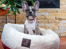 Cargar imagen en el visor de la galería, Cama Redonda Roja para perros - Selvaggiopets