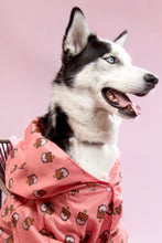 Cargar imagen en el visor de la galería, Impermeable doble faz Helados para perros - Selvaggiopets