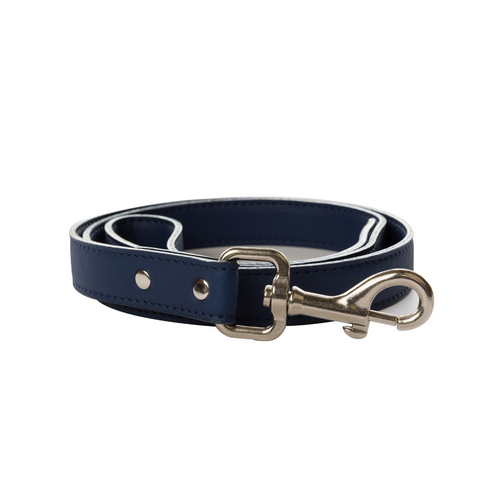 Correa Azul para perros - Selvaggiopets