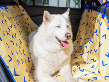 Cargar imagen en el visor de la galería, Protector Pollito para perros - Selvaggiopets
