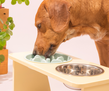 Cargar imagen en el visor de la galería, Comedero Para Perro Elevado Pollito
