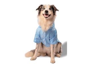 Impermeable doble faz Mar para perros - Selvaggiopets