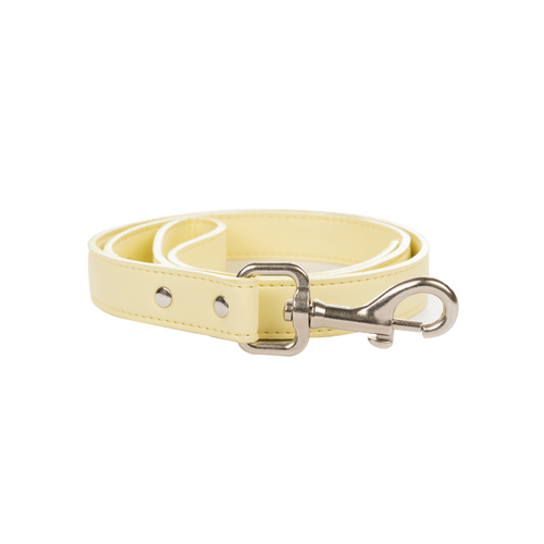 Correa Pastel Amarillo para perros - Selvaggiopets