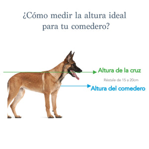 Comedero Para Perro Elevado Flamingo