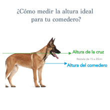 Cargar imagen en el visor de la galería, Comedero Para Perro Elevado Pollito
